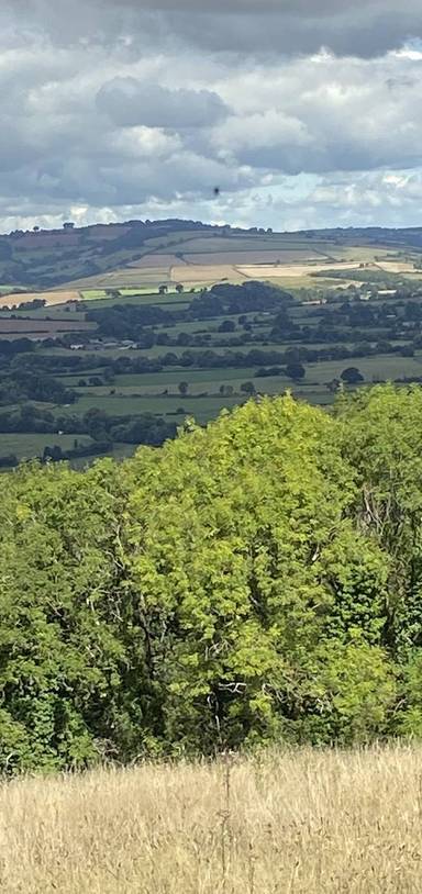 Preview of Stoke Hill Farm and Stoke Hill