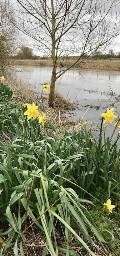 Preview of Thames Path, Day 3