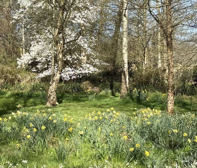 Preview of London Loop Section 9