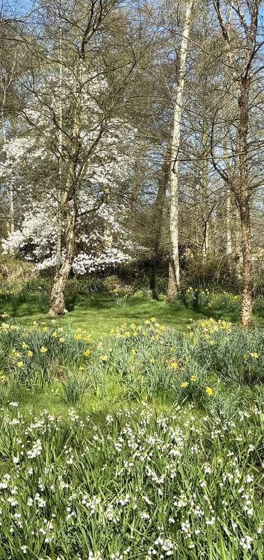 Preview of London Loop Section 9