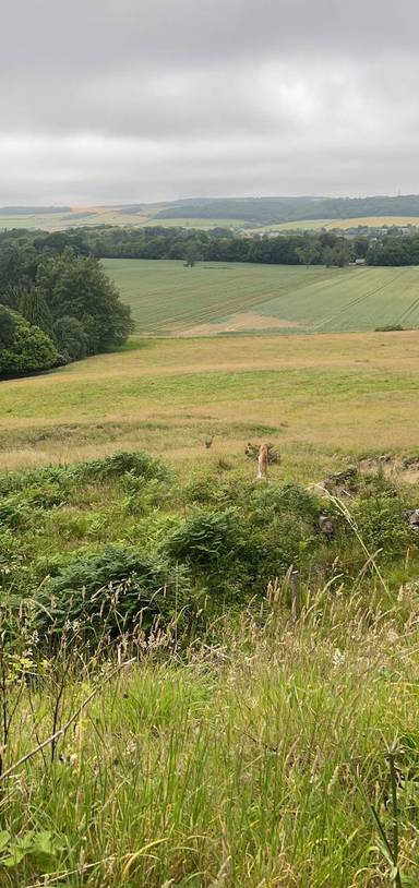 Preview of Garth to Guisborough Circuit