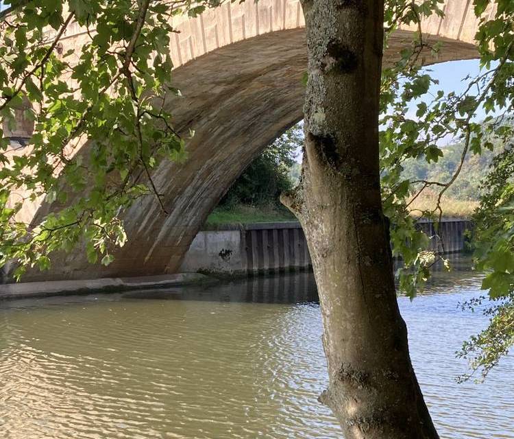 Preview of Newbridge wander