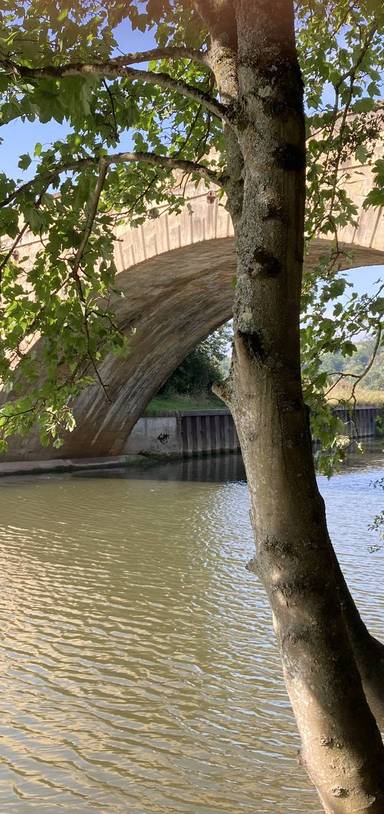 Preview of Newbridge wander