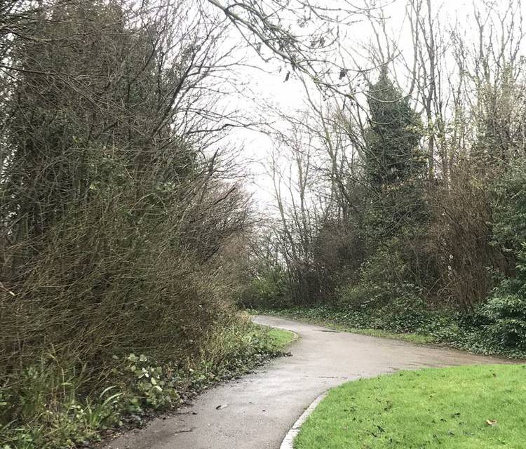 Preview of Oldbury Loop