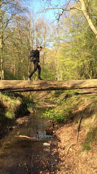 Preview of A day out at Epping Forest 🌳 