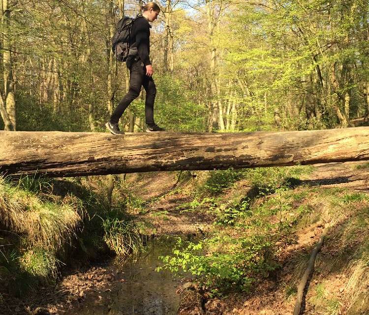 Preview of A day out at Epping Forest π³