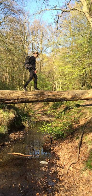 Preview of A day out at Epping Forest π³