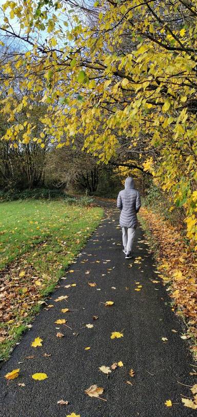 Preview of Collyhurst Parks (step-free)