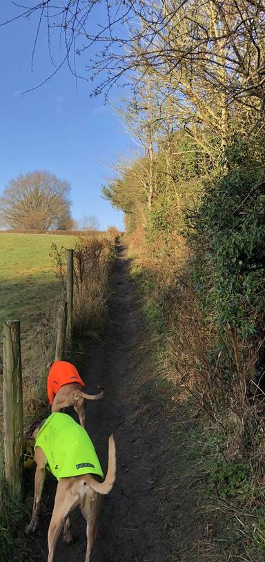 Preview of Lutley Loop