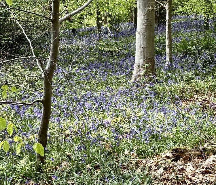 Preview of London Loop Section 13