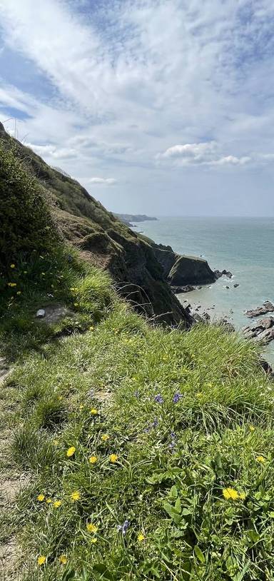 Preview of Dreamy Torrs & Victorian Wellbeing