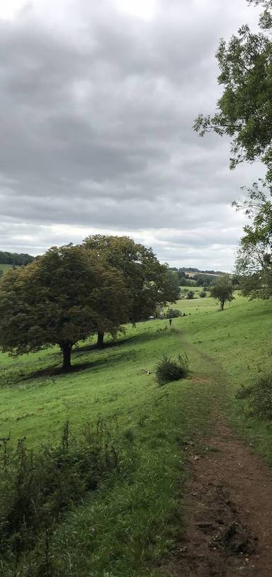 Preview of Bourton Circular 