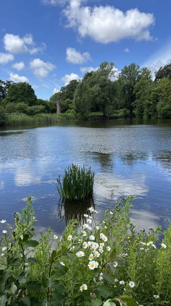 Preview of Princes Park Step-Free Walk