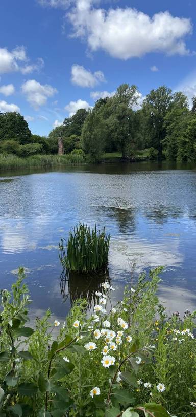 Preview of Princes Park Step-Free Walk