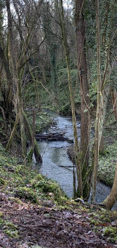 Preview of Amble through Anston Stones