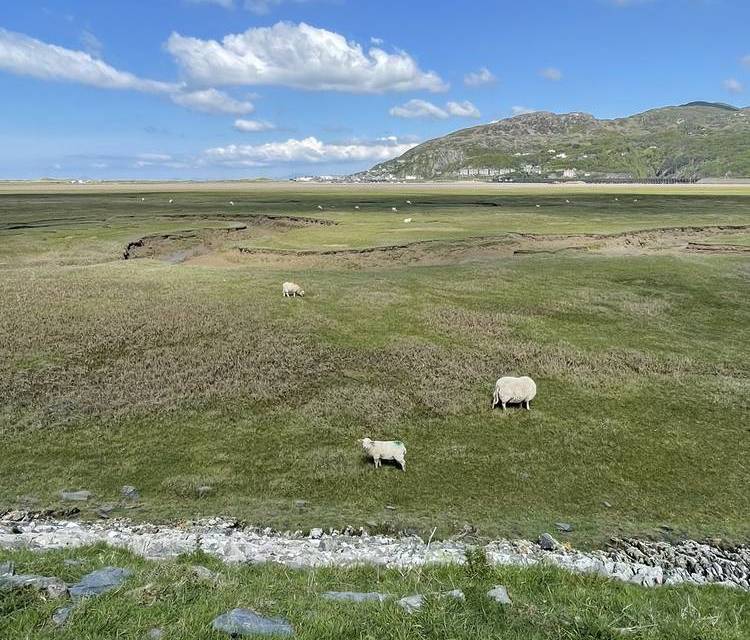 Preview of Barmouth Bridge and Ferry Fun