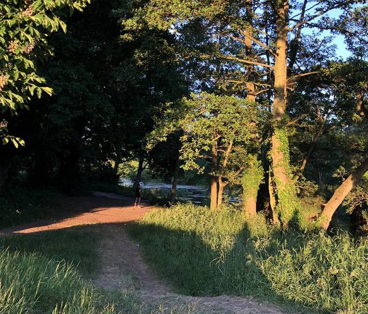 Preview of Sunset wander to Wanstead Park
