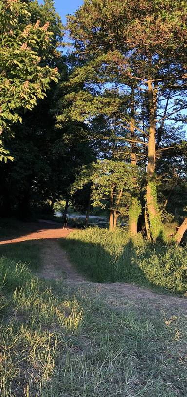 Preview of Sunset wander to Wanstead Park