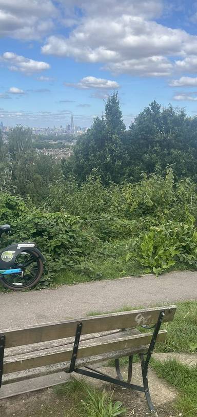 Preview of Dulwich Circular