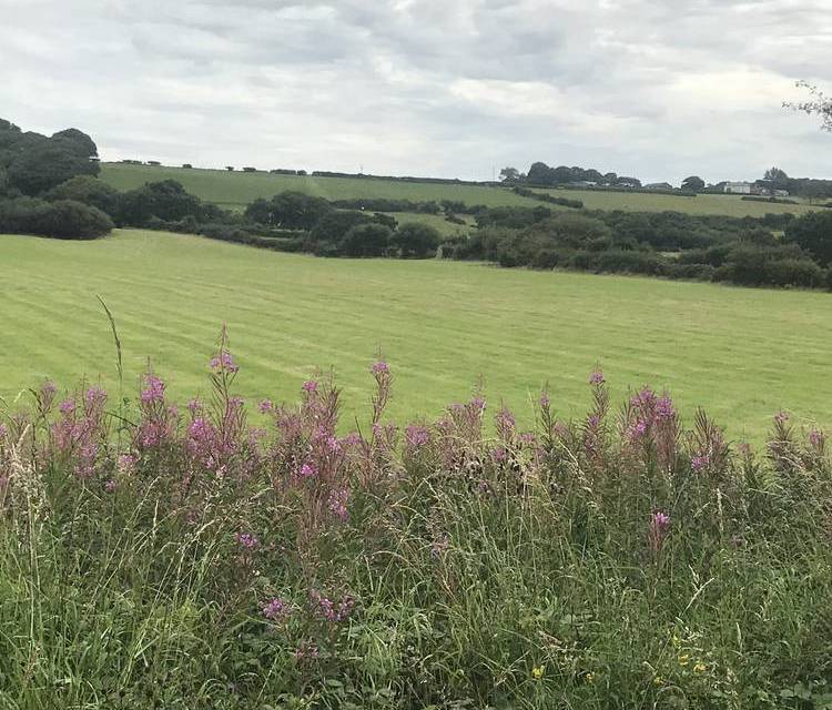 Preview of Wirral coastal loop