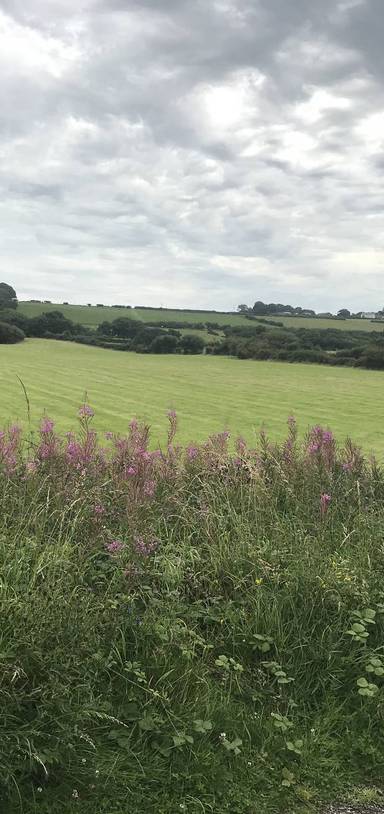 Preview of Wirral coastal loop