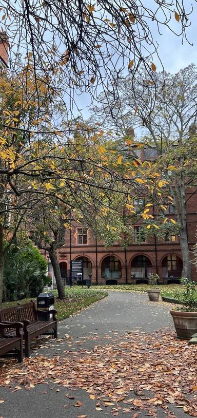 Preview of Harold Fry's London Pilgrimage