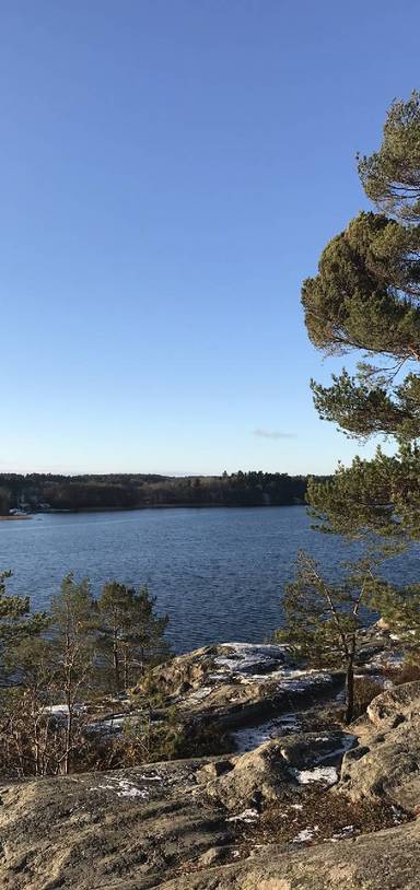 Preview of A little Sunday stroll