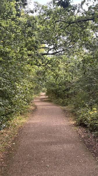 Preview of Wonderful Woodgate Valley Trail