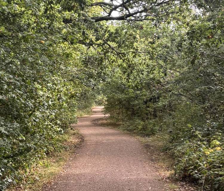 Preview of Wonderful Woodgate Valley Trail