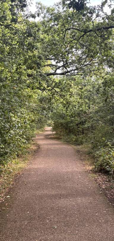 Preview of Wonderful Woodgate Valley Trail