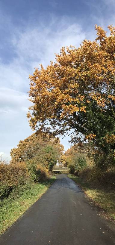 Preview of Windmills of your Mind