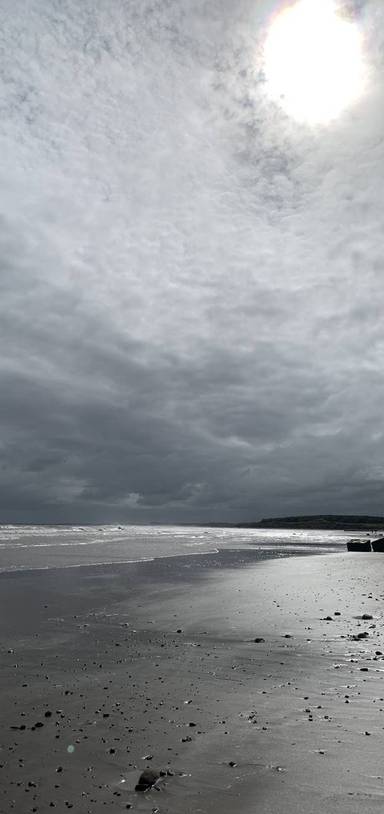 Preview of Hauxley Nature Reserve and Beach