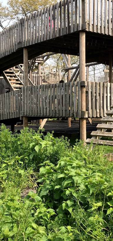 Preview of Adventure Awaits in SE4