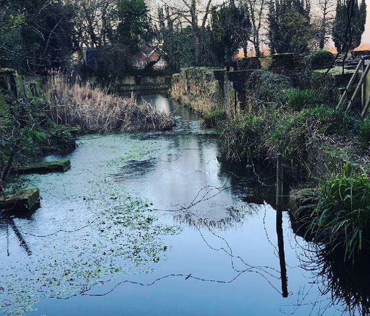 Preview of Scadbury Park Nature Reserve Pt 2