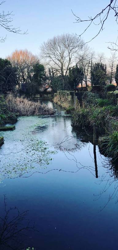 Preview of Scadbury Park Nature Reserve Pt 2