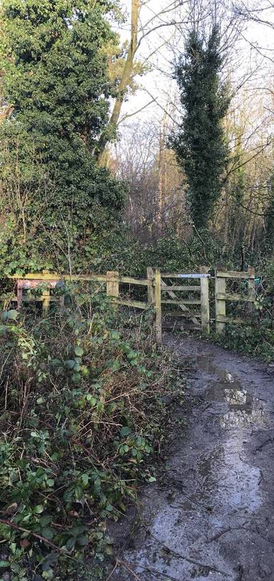 Preview of Church Wood walk at Rivacre Valley