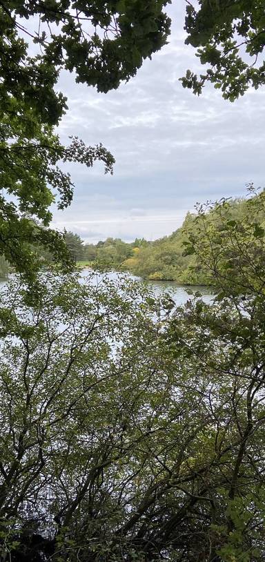 Preview of The Park & the Reserve Trail