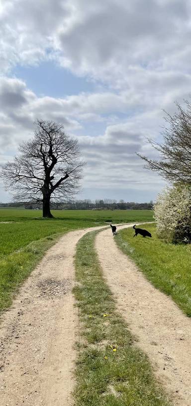 Preview of Cowlinge/Attleton Green walk