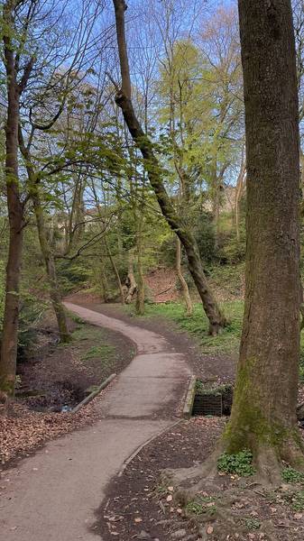 Preview of Graves Park loop