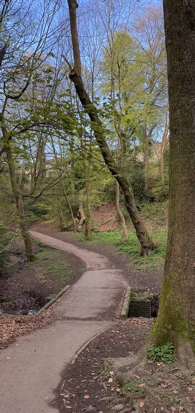 Preview of Graves Park loop