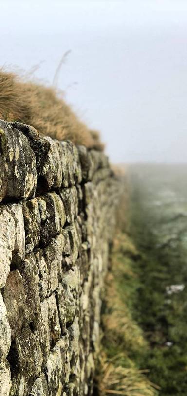 Preview of Hadrian’s wall & Sycamore Gap