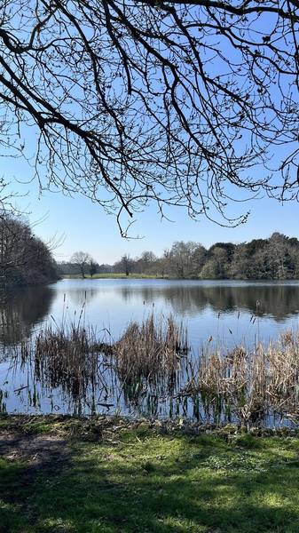 Preview of Osterley Park Blooming Trail