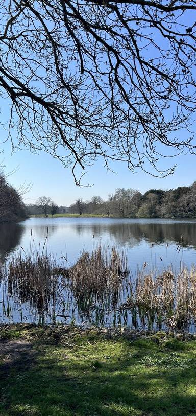 Preview of Osterley Park Blooming Trail