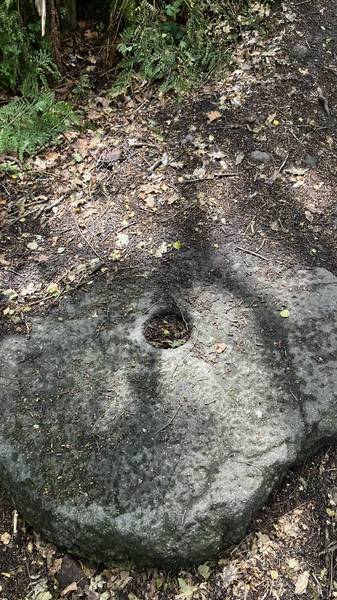 Preview of Pilgrimage to Betty Kenny’s Yew