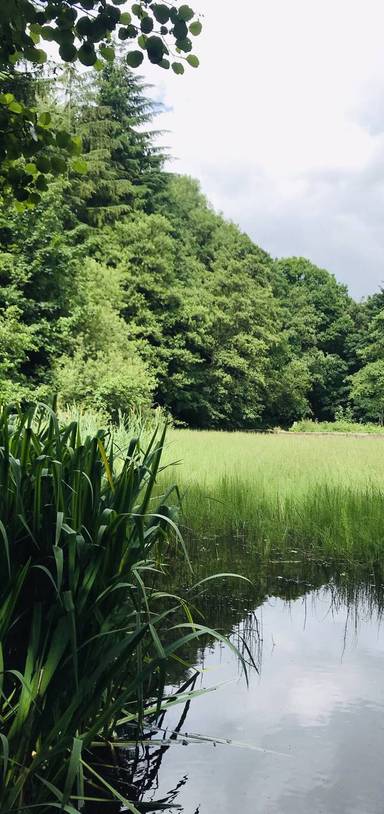 Preview of Rivelin Valley Trail
