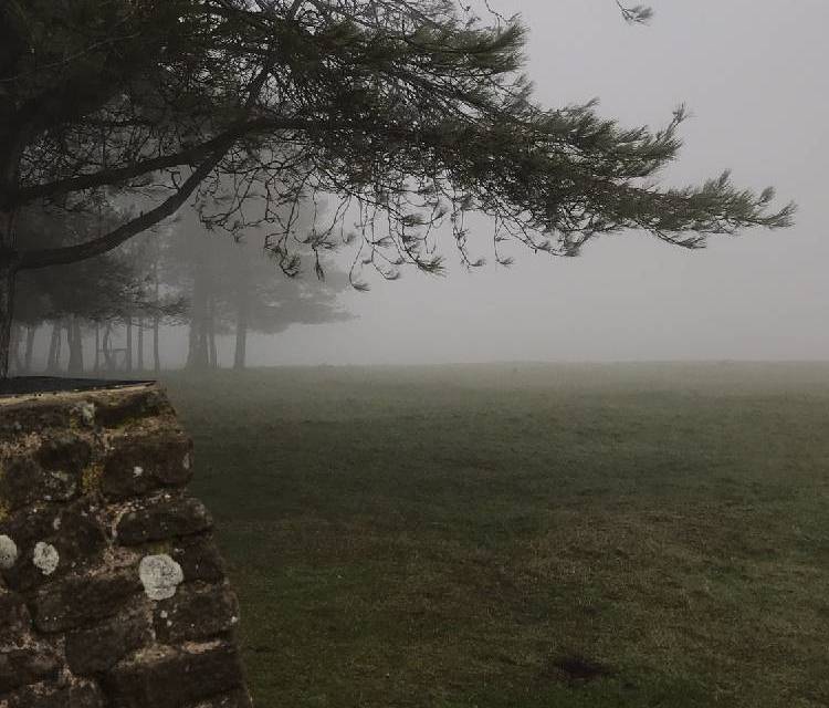 Preview of May hill loop walk