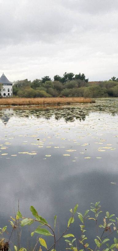 Preview of Llyn Lech Owain Country Park Walk