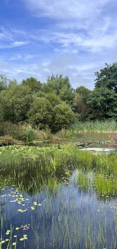 Preview of Tour Aldouran Garden, Woods & Glen