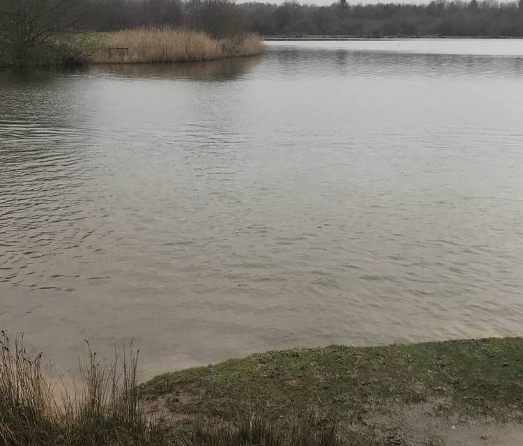 Preview of Sandwell Valley & Swan Pool