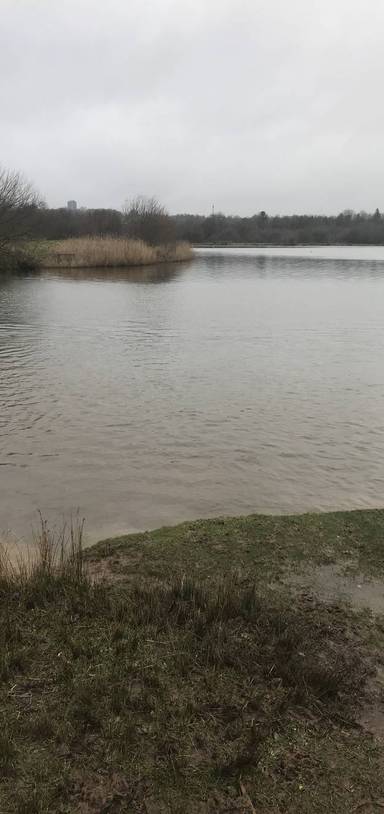 Preview of Sandwell Valley & Swan Pool